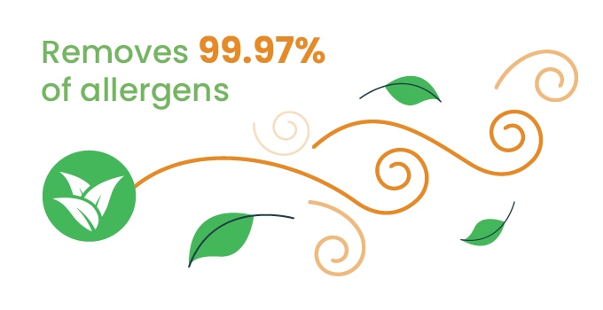 Removes 99.97% of allergens